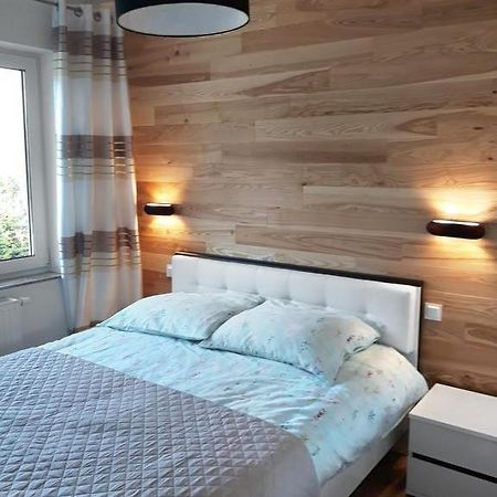 Apartament Szary Wilk Swieradow-Zdroj Bagian luar foto
