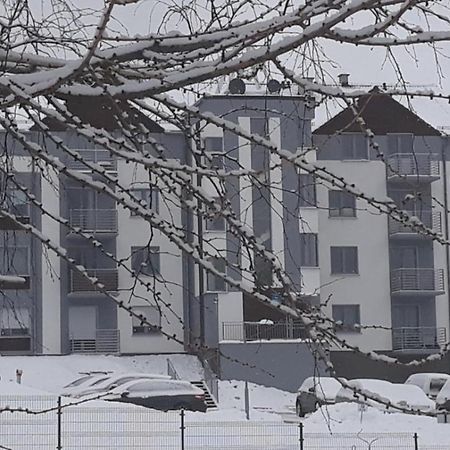 Apartament Szary Wilk Swieradow-Zdroj Bagian luar foto