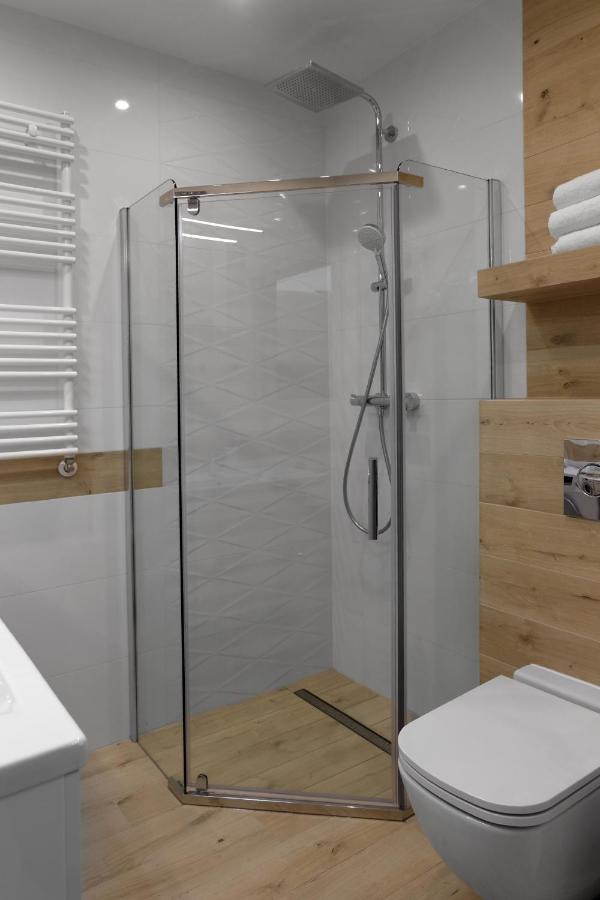 Apartament Szary Wilk Swieradow-Zdroj Bagian luar foto