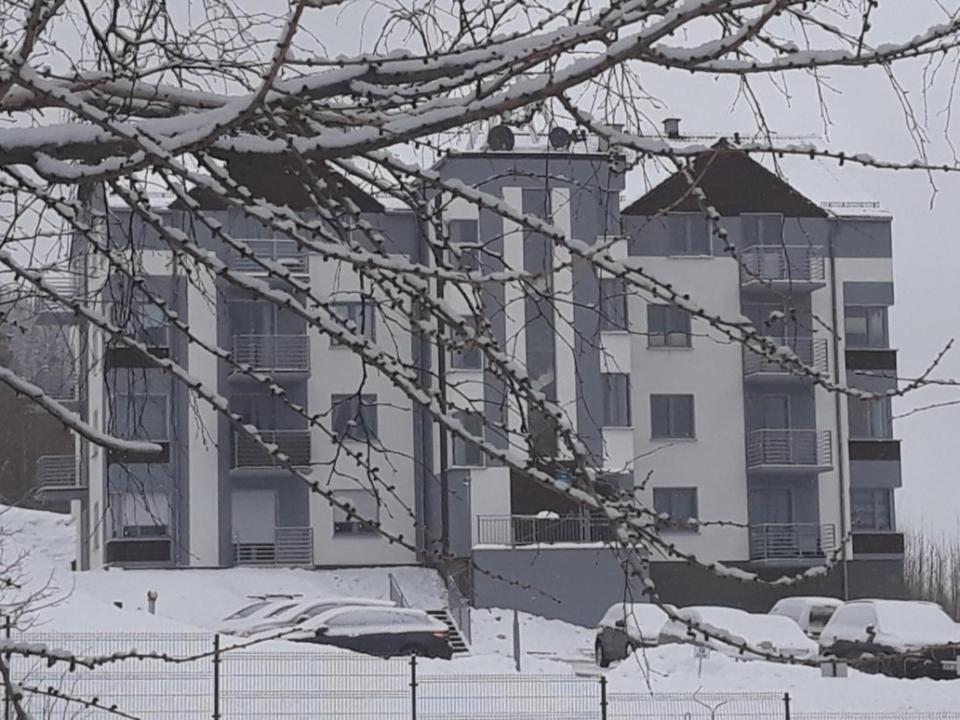 Apartament Szary Wilk Swieradow-Zdroj Bagian luar foto